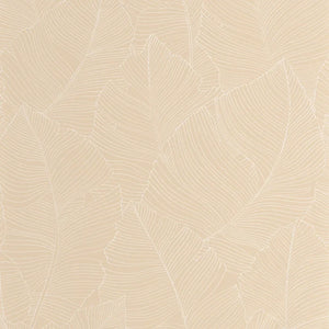 Carta da Parati Borneo cod. 106500010 Caselio Wallpaper