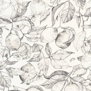 Carta da Parati Soliflore Casadeco Wallpaper