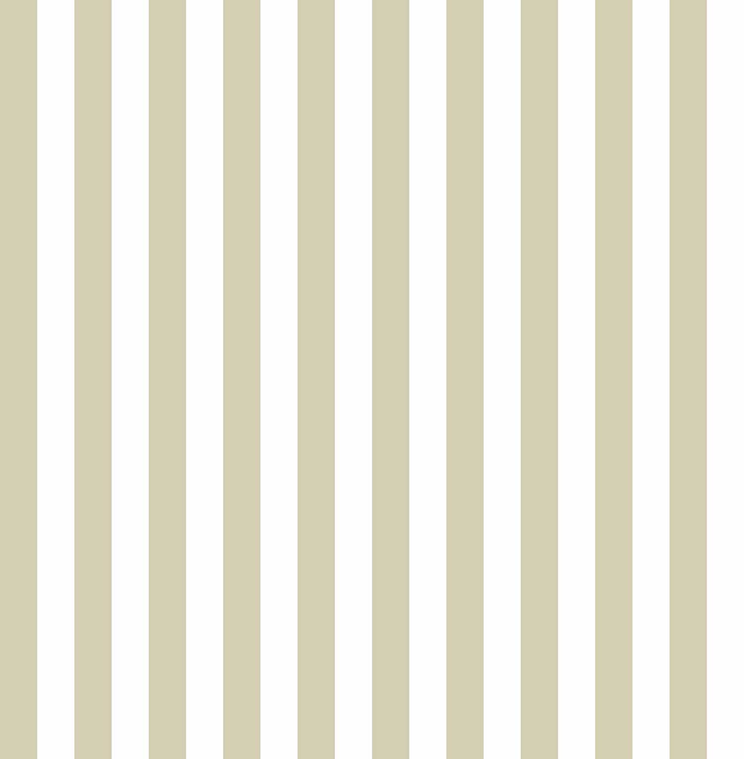 Carta da Parati Top Stripes Cristiana Masi Wallpaper cod. 38453